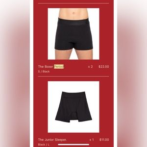 NWT Period Underwear by The Period Company